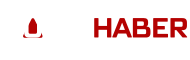 Anasayfa
