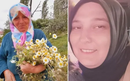 Kene Kabusu Sürüyor: Ölüm Sayısı Artıyor, Uzmanlar Kritik Uyarılarda Bulundu