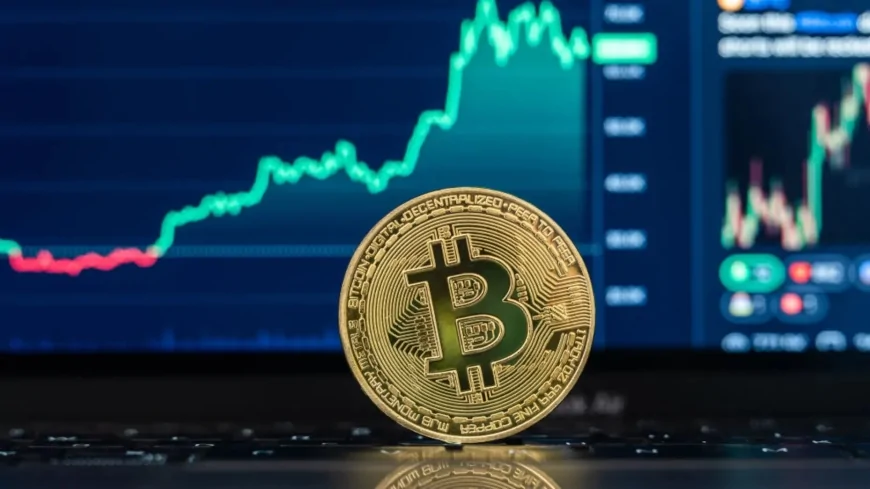 Bitcoin’de Balina Freni! 3 ABD Eyaletinden Veto Geldi