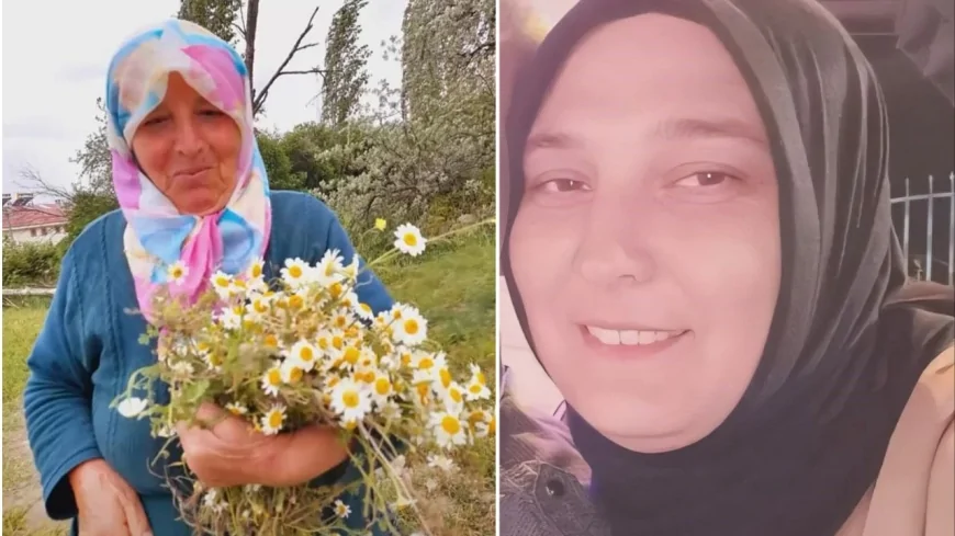 Kene Kabusu Sürüyor: Ölüm Sayısı Artıyor, Uzmanlar Kritik Uyarılarda Bulundu