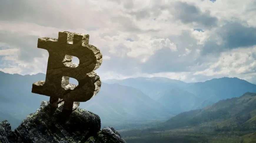 Bitcoin’de Balina Freni! 3 ABD Eyaletinden Veto Geldi